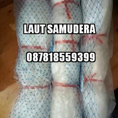 Jaring Ikan 1 Inch 015 100/100 Tate Kep
