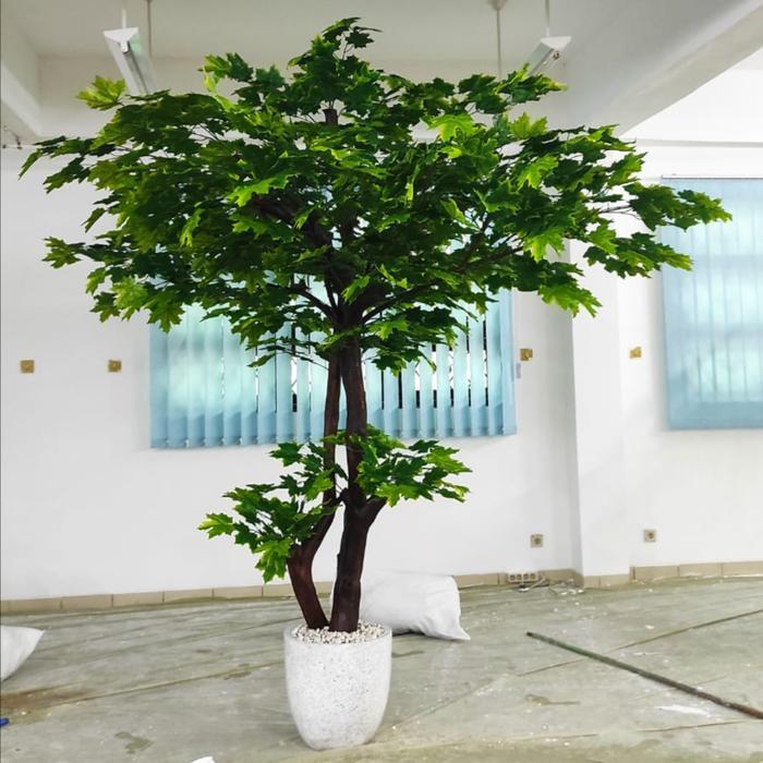 Pohon Maple Hijau Artificial// Pohon Maple Hijau Tinggi 3 meter// pohon maple hijau sudah dengan pot