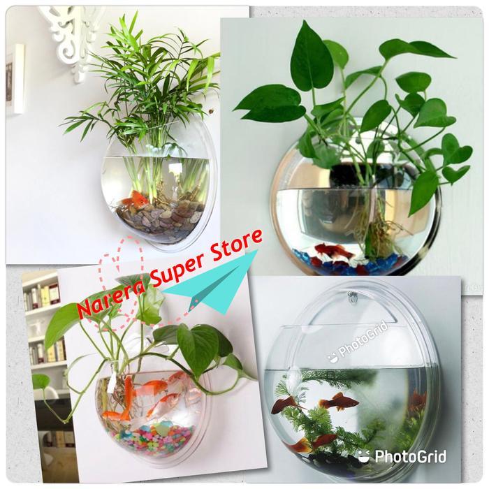 Aquarium Aqrylic Akrilik Bulat Gantung Tempel Dinding 26 Cm Akuarium