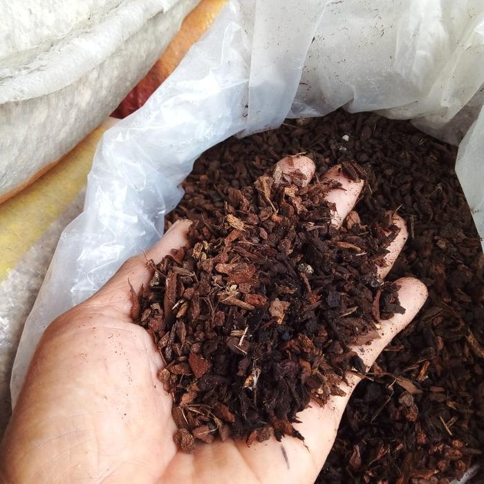 NEWs pine bark halus