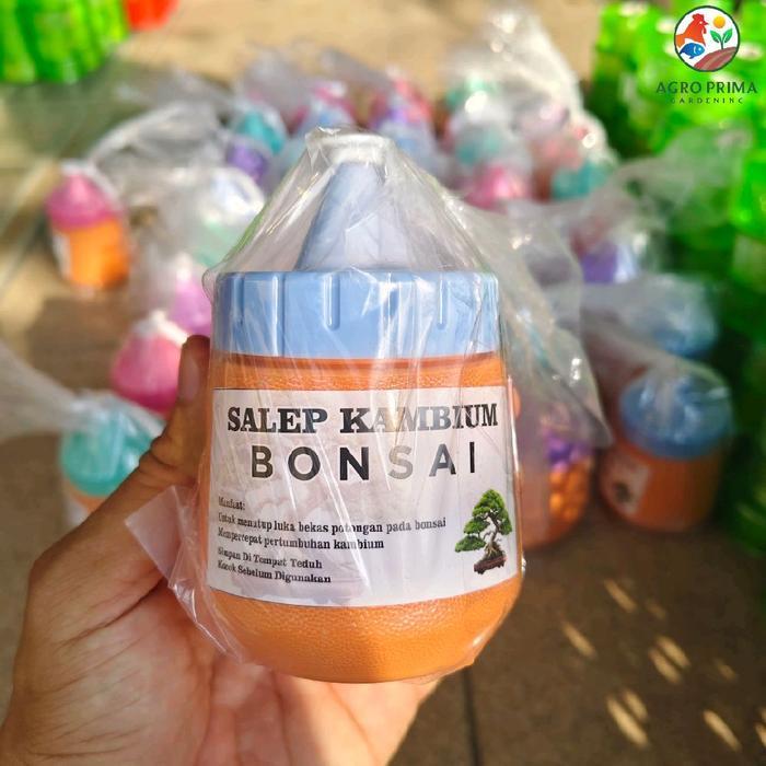 salep kambium bonsai perlengkapan alat bonsai