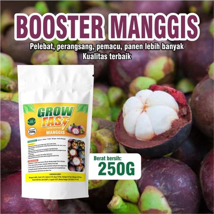 Pupuk Organik Pelebat Booster Manggis Perangsang Manggis , Pupuk Pelebat Buah Manggis berkualitas