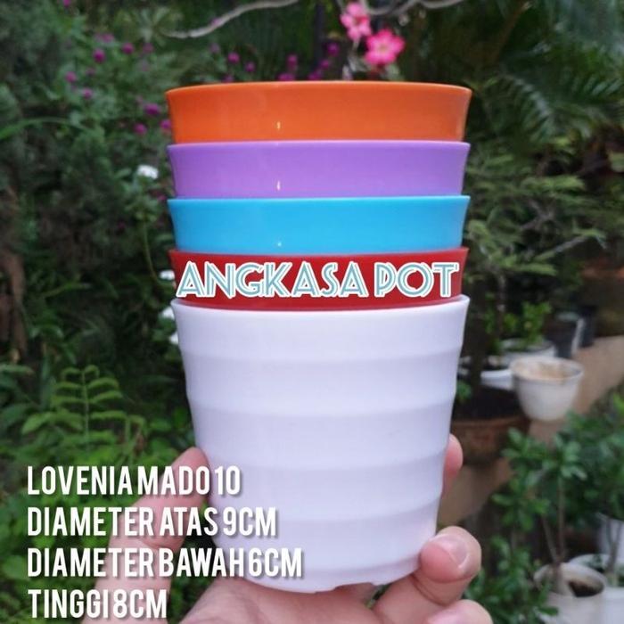 LOVENIA MADO 10 Pot bunga kecil Pot cantik glosy Pot Murah Mewah