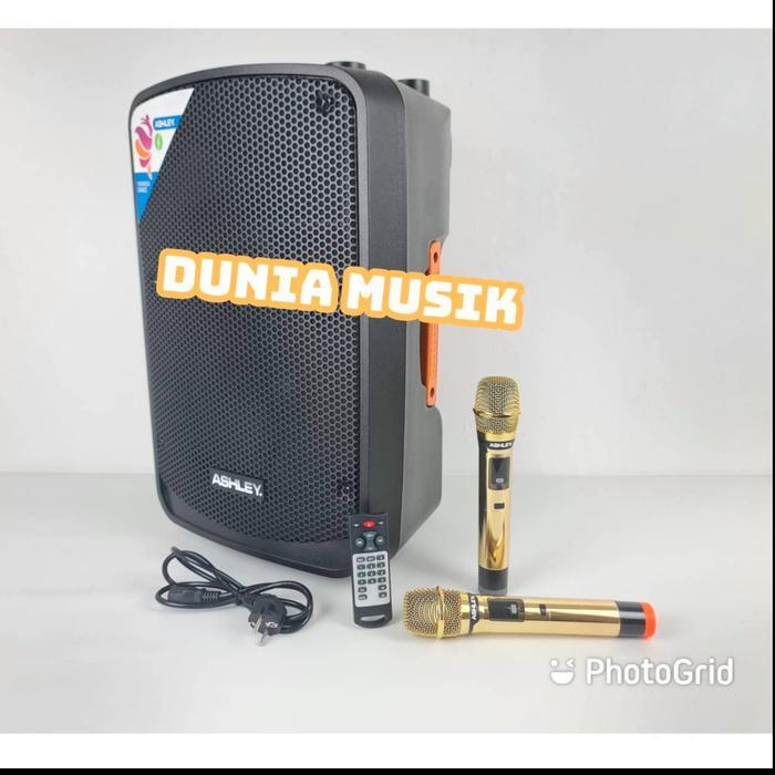 speaker portable ashley ir500 ir 500 / IR500 I R500 ORIGINAL