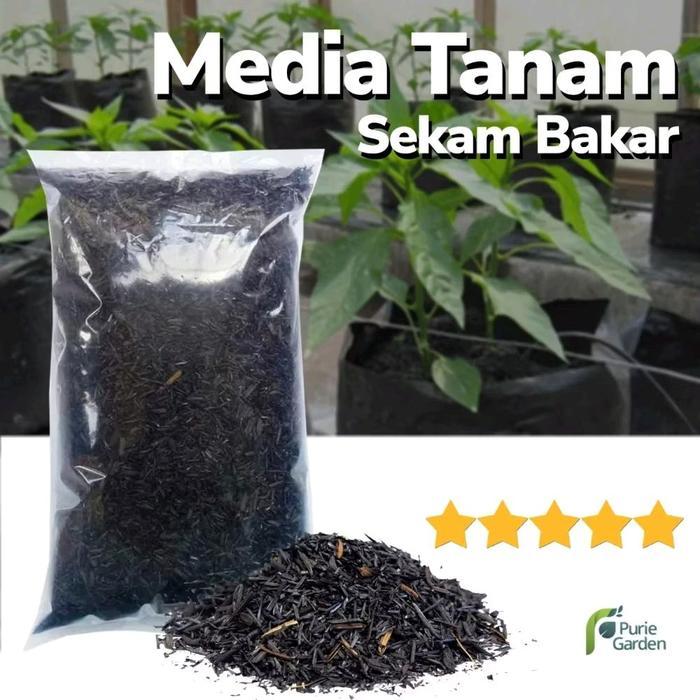 SEKAM BAKAR/SEKAM MENTAH-media tanam sekam bakar dan mentah