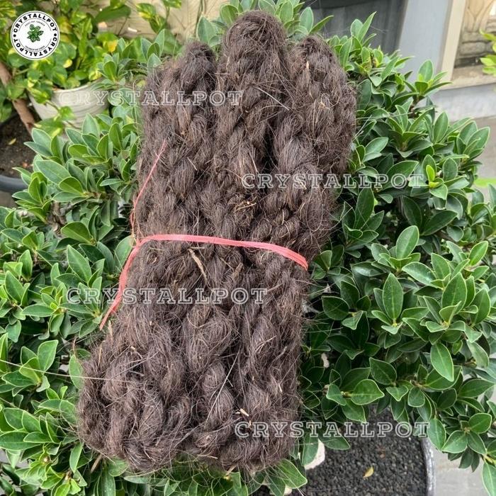 nozv- Tali Ijuk Aren Hitam Per Ikat Tambang Pengikat Bunga Anggrek Pagar - Tali Ijuk Isi 10