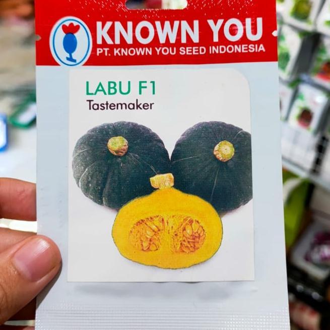 ID LABU MINI HIJAU TASTEMAKER - KABOCHA