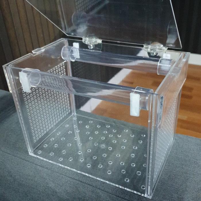 Box kotak acrylic akrilik karantina / aklimasi ikan P 23 L 13 T 15