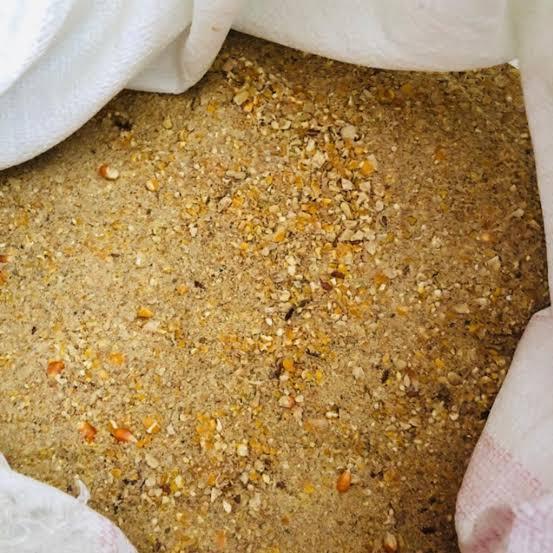 PAKAN AYAM PETELUR UMKM PERKILO