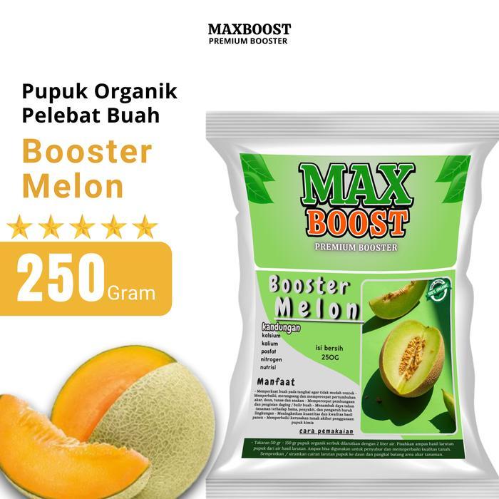 booster tanaman Melon Perangsang Buah Melon , Pupuk Pelebat Buah Melon berkualitas Nutrisi Terbaik