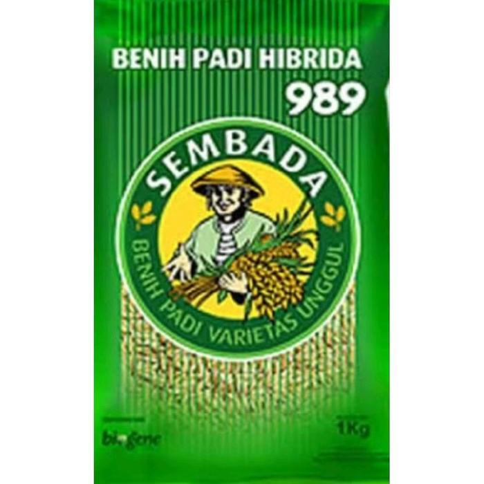 1KG BENIH PADI HIBRIDA SEMBADA 989
