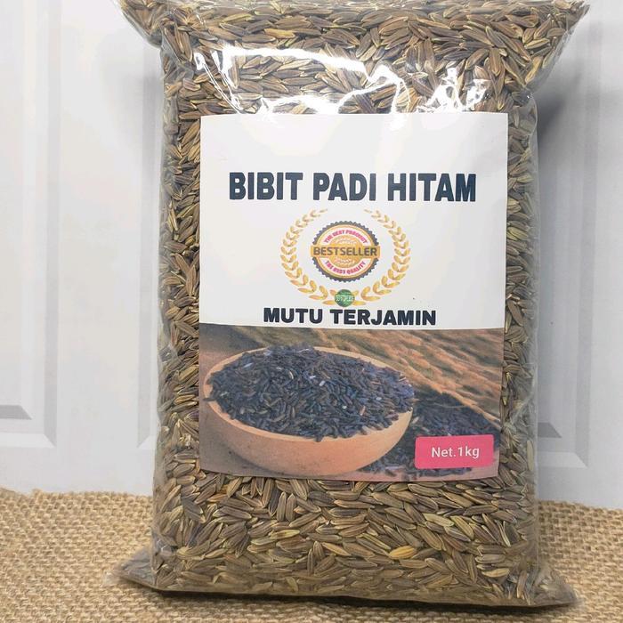 Benih padi hitam unggul 1 kg