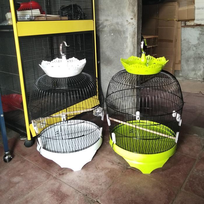 Kandang burung tekukur , puter besi mahkota import diameter 42cmxT49cm