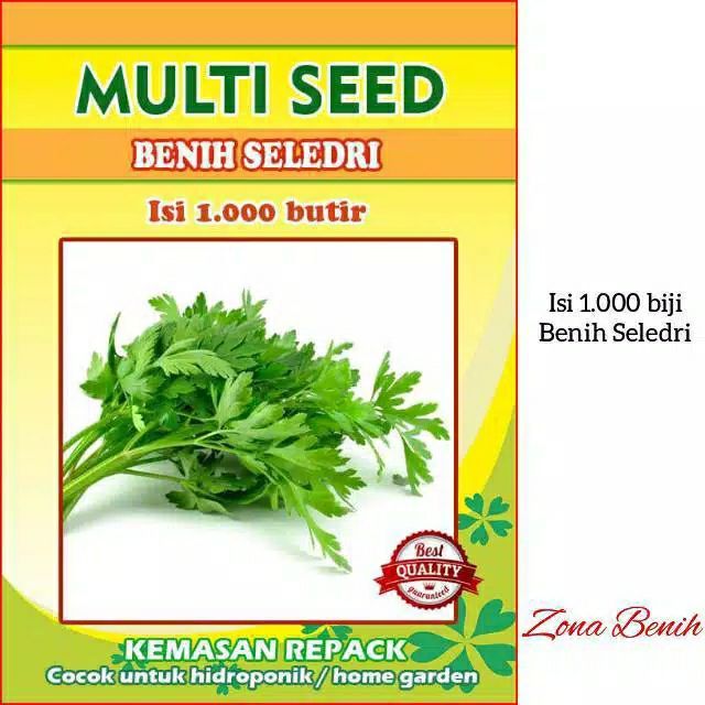 [ISI 1000 BUTIR] BENIH SELEDRI UNGGUL, BIBIT SELEDRI, BIJI SELEDRI, BENIH BIBIT SAYURAN