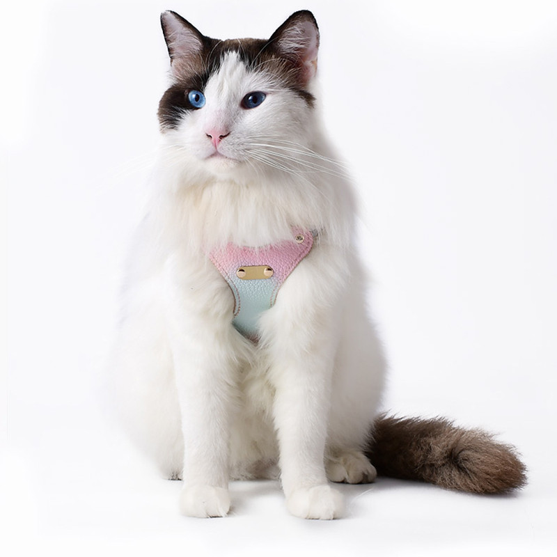 Summer Pu Leather Cat Harness 120Cm Leash Outdoor Cat Dog Harness And