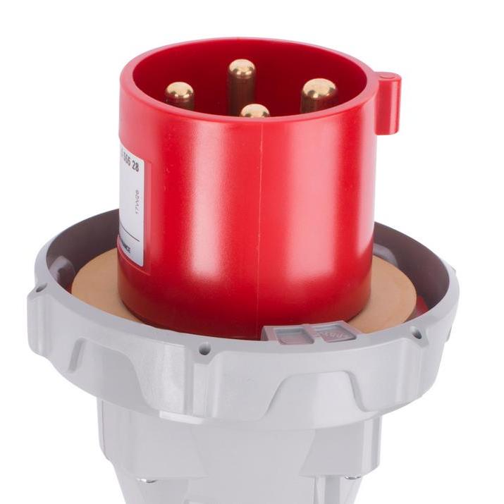 Legrand Straight Plugs 63A 4 Pin 555528
