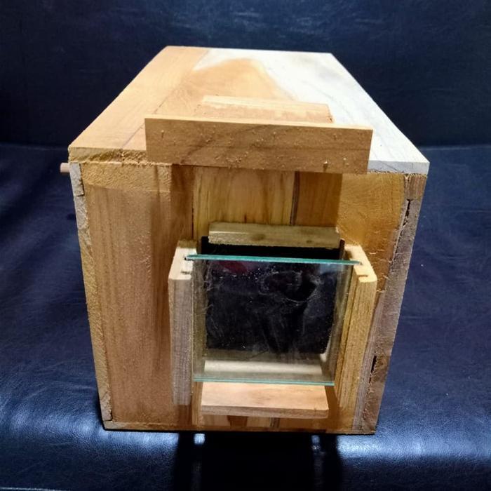 BRIDTIS- Glodok Parrot Pantau Kaca Burung Sun Conure Falk Dll