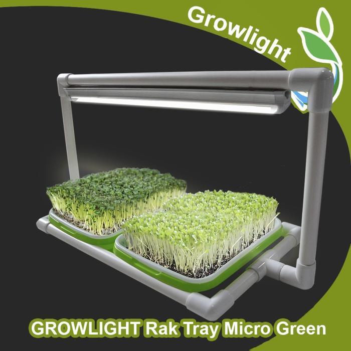 Mini Kit GROWLIGHT TRAY MICROGREENS 2 Tray
