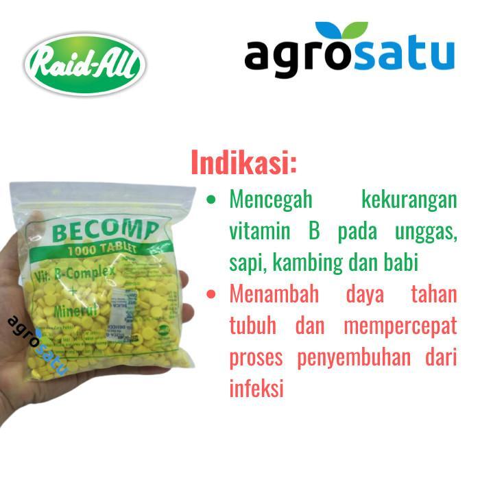 BECOMP 1000 TABLET VITAMIN B COMPLEX SAPI KAMBING UNGGAS AYAM ITIK