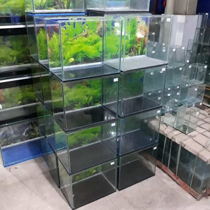 Aquarium kaca 60cm ( GOJEK GRAB ONLY)
