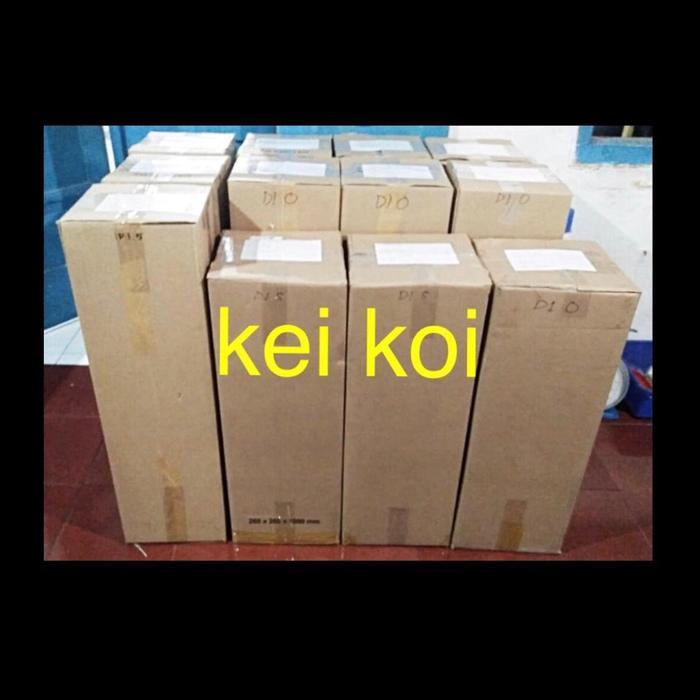 VAT D:120 T:80 CM KOLAM IKAN KOLAM KARANTINA