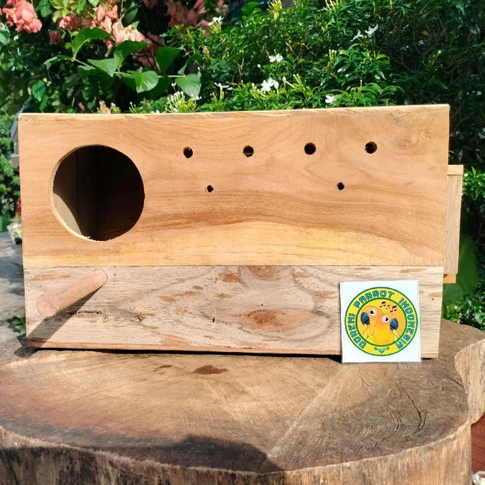 GLODOK GLODOG KAYU KACA SARANG TERNAK BREEDING BURUNG FALK COCKTAIL