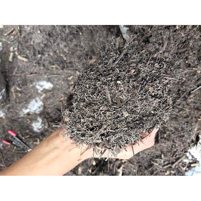 1kg Media tanam kayu pinus Merah Tanaman Anggrek Bunga Kelapa Pohon