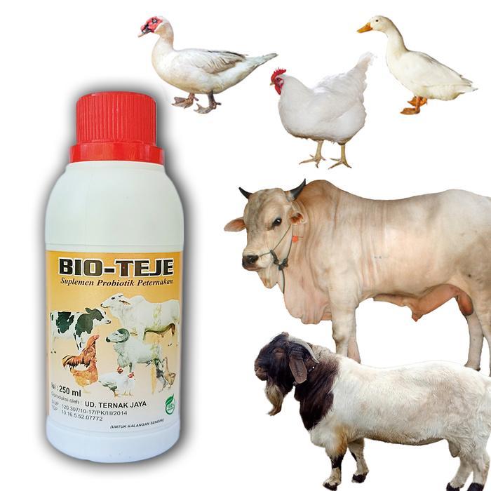 PENGGEMUK AYAM PENAMBAH NAFSU MAKAN HEWAN TERNAK ENTOK JUMBO BEBEK AYAM KAMPUNG BROILER BANGKOK