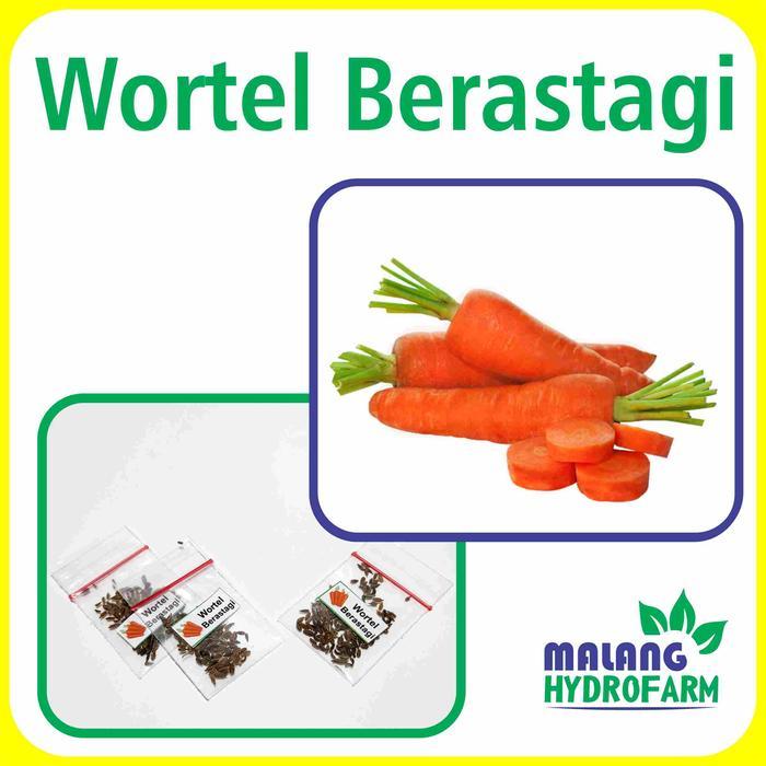 Benih Wortel Berastagi Unggulan Berkualitas biji bibit repack desa brastagi buah gundaling manis sop