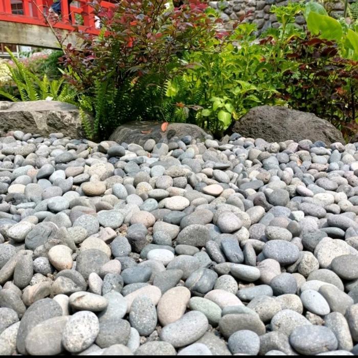 Batu coral hitam 1 kg, batu taman hitam, batu aquarium
