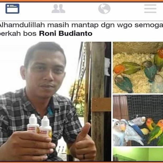 WGO VITAMIN TERNAK SEGALA JENIS BURUNG WGO WHEAT GERM OIL