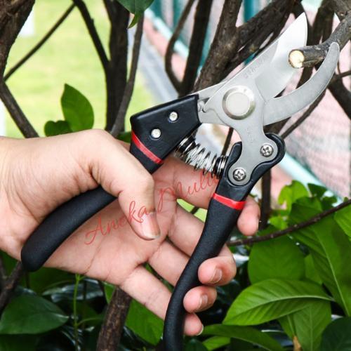 Gunting Dahan Pruning Buah alat bonsai SK5 jepang black