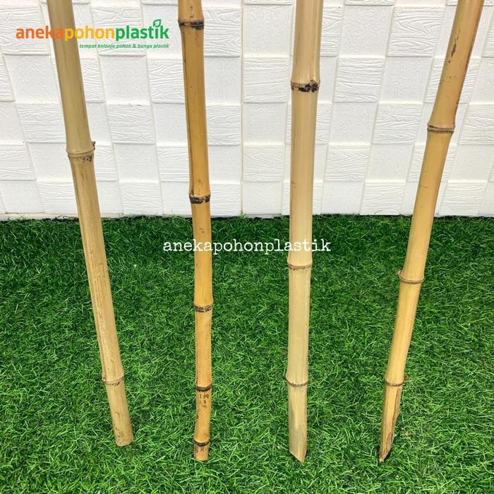 4Pcs Batang Bambu Cendani Ornamen Lurus 150-170Cm