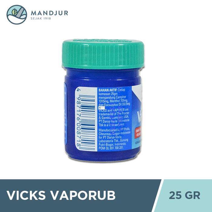 4g88n- Vicks Vaporub 25 Gr - Obat Oles Pereda Batuk Dan Pilek