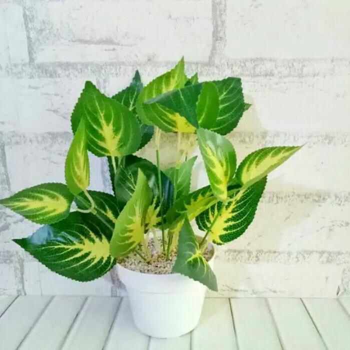 DAUN ARTIFICIAL DAUN PALSU HIAS PLASTIK BUNGA PLASTIK ARTIFICIAL