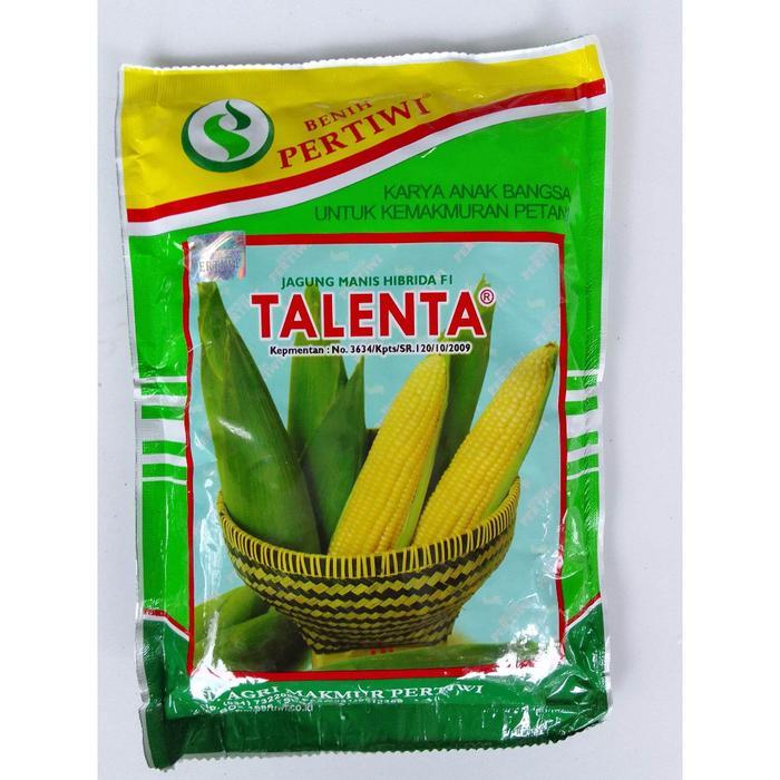 Benih Jagung Talenta F1 250Gram Jagung Manis Hibrida Talenta Dari Benih Pertiwi Jagung Manis Tanaman
