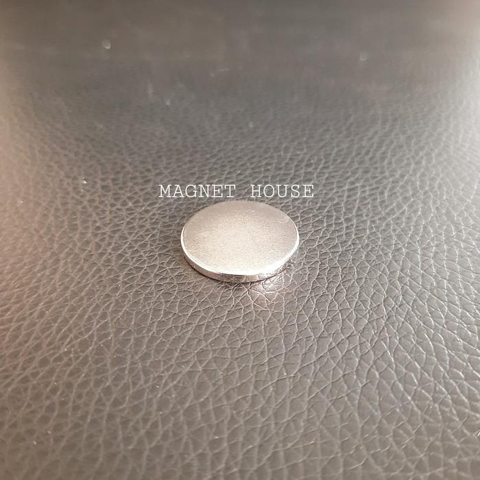 mo9rd4- Magnet Neodymium Bulat Round Koin Coin Diameter 20X2Mm 20Mmx2Mm 20*2Mm