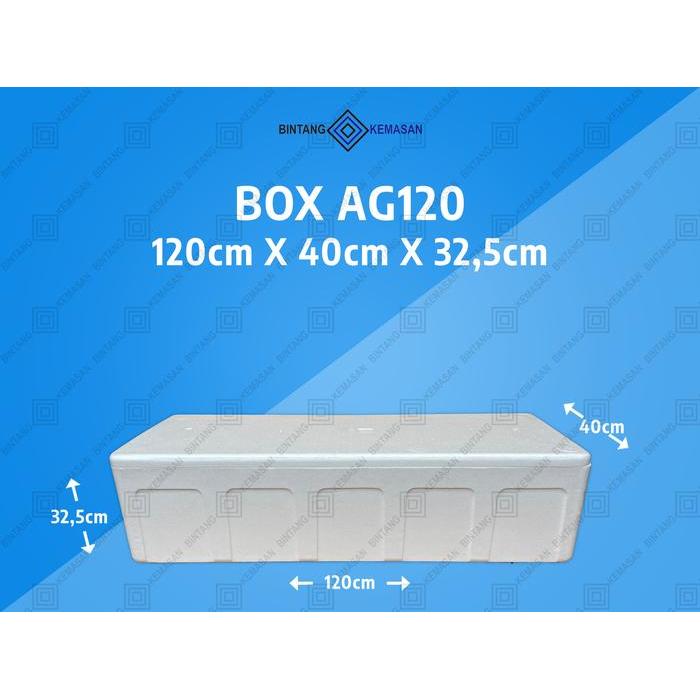 r5o1wh- Box Styrofoam Ag120 120 X 40 X 32,5Cm Box Foam