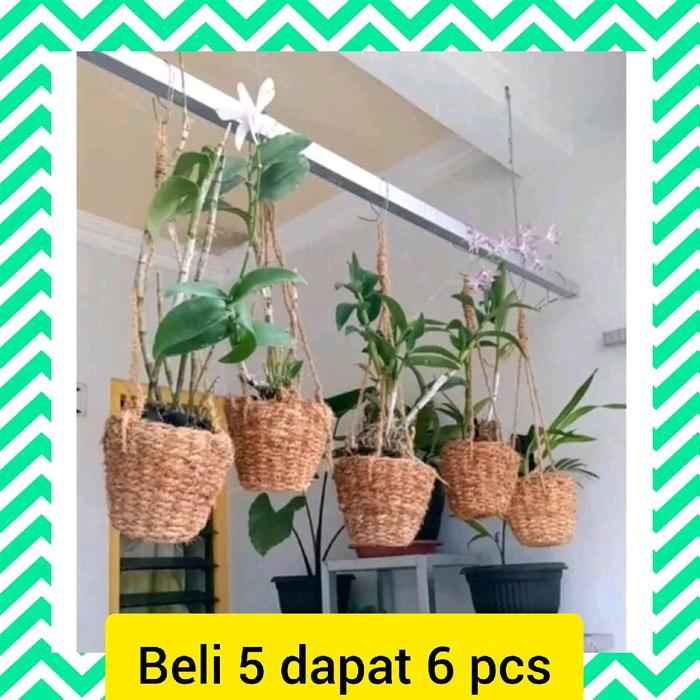Paket 5 Pcs Pot Gantung Anyaman Tanaman Hias Serabut Kelapa Bunga Alami Polybag