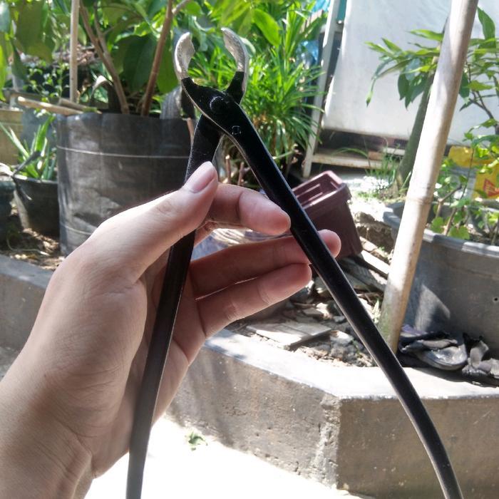 FARM- Catok Bonsai Cembung 25 Cm Catut Lokal Peralatan Bonsai
