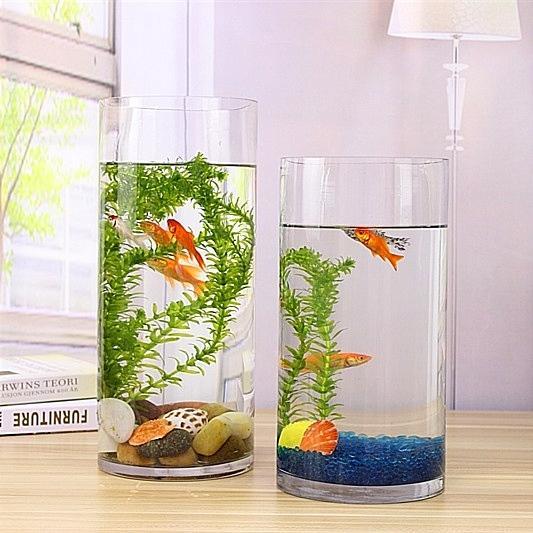 AQUARIUM KACA TABUNG / AKUARIUM IKAN HIAS GUPPY CUPANG AQUASCAPE MINI