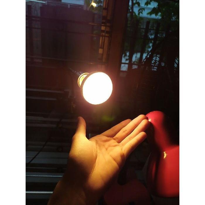 PHILIPS NR63 SPOT 25 40 60 WATT LAMPU NR63/LAMPU CHIKEN REPTIL PENGHANGAT AYAM / BASKING / KANDANG