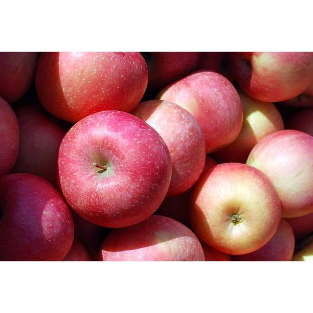 gym7- Cold Pressed Apple Juice - Cold Press Jus Apel Murni