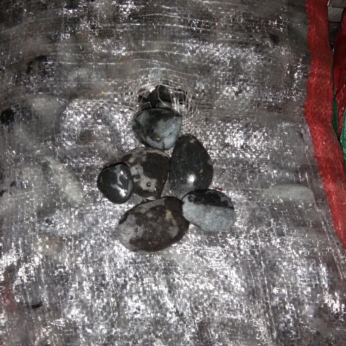 batu koral hitam taman