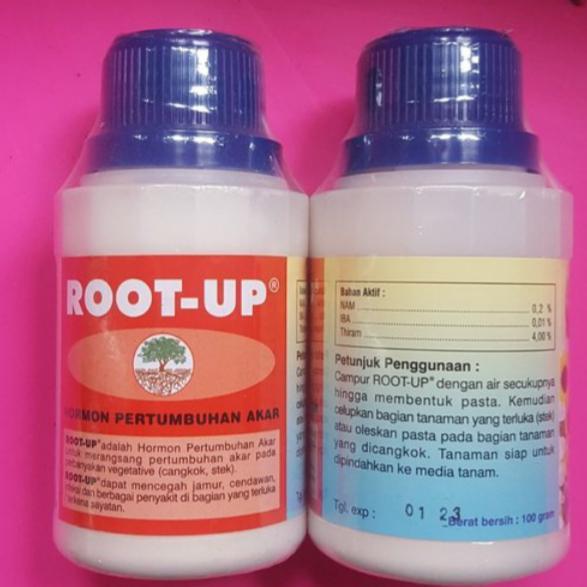 Root Up Penumbuh Akar tanaman cangkok stek okulasi
