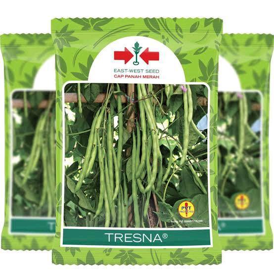 FARM- Benih Buncis Polong Hijau Tresna Dan Tresna Xl Original Panah Merah Isi 500Gr