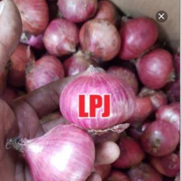 News Bawang MERAH PEKING - 1 Kg - Lapak Pak Jamal