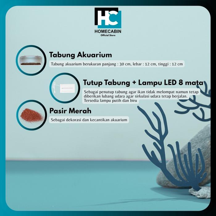 Aquarium Baby Chana / Aquarium mini / Aquarium Channa - SC