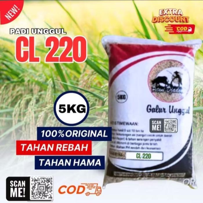 Benih Padi Cl220 Kemasan 5kg Benih Unggul Original
