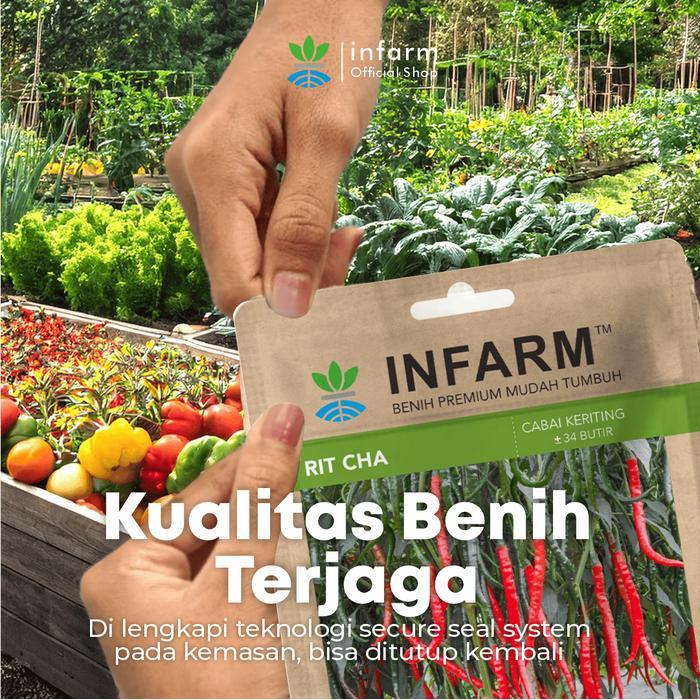 INFARM - BENIH CABAI KERITING RITCHA, BENIH UNGGUL CABE KERITING HIBRIDA BIBIT SUPER CABE KERITING